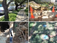 Sewer Drain Dig and Replacement